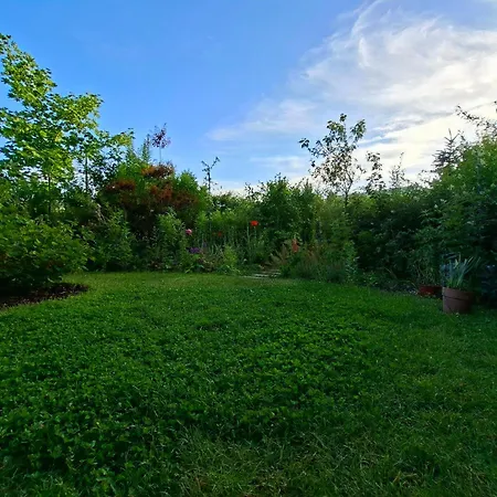 Appartement Przestronne Mieszkanie Przyjazne Dzieciom I Zwierzetom *